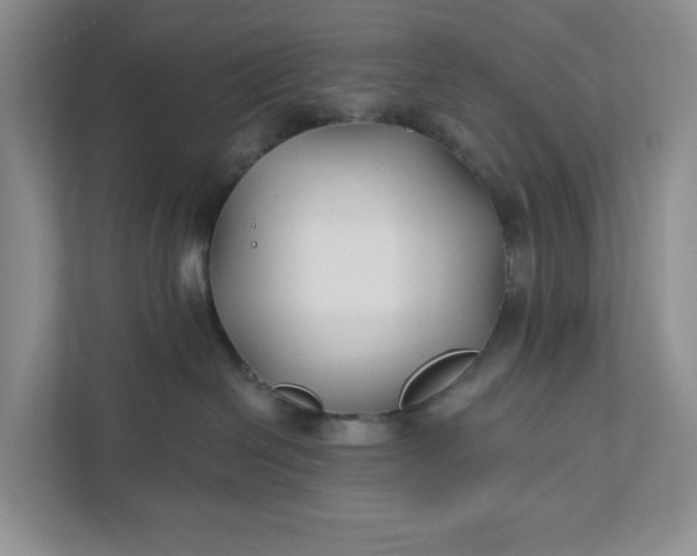 X0000111820286200908061141