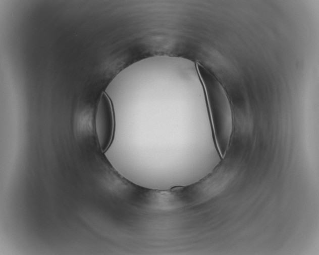 X0000111820287200908061141