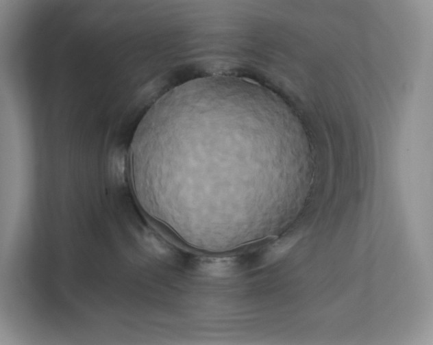 X0000111820288200908061141