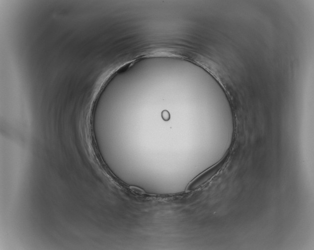 X0000111820289200908061141