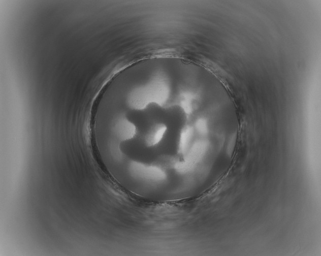 X0000111820290200908061141