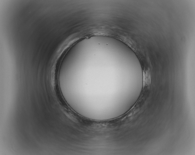 X0000111820291200908061141