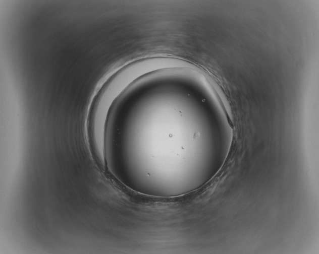 X0000111820292200908061141