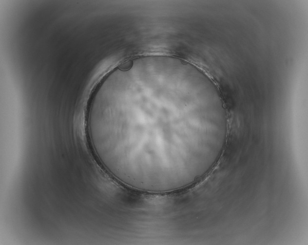 X0000111820293200908061141