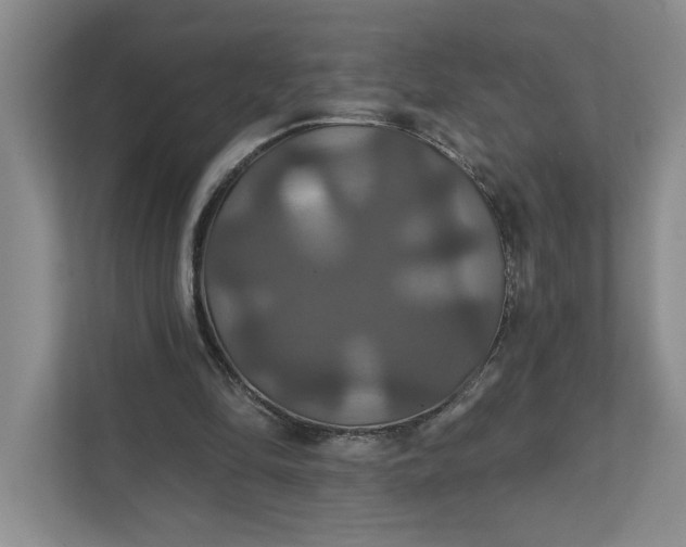 X0000111820294200908061141