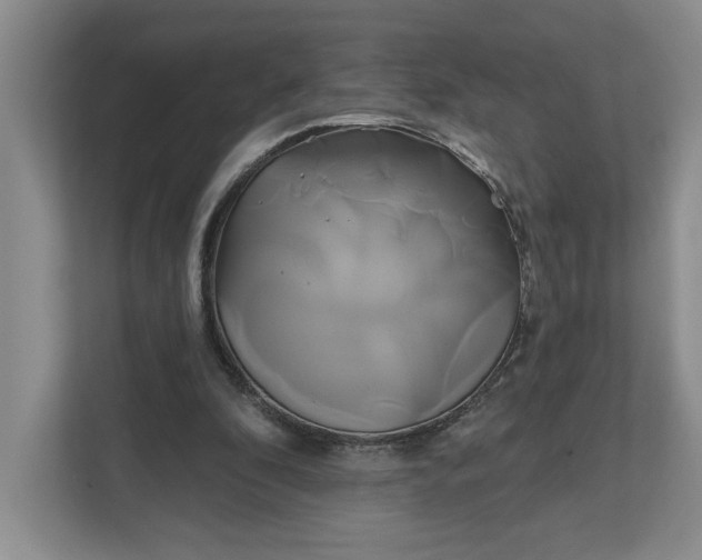 X0000111820296200908061141