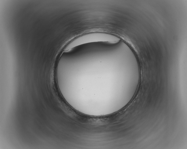 X0000111820297200908061141