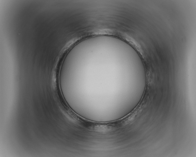 X0000111820298200908061141