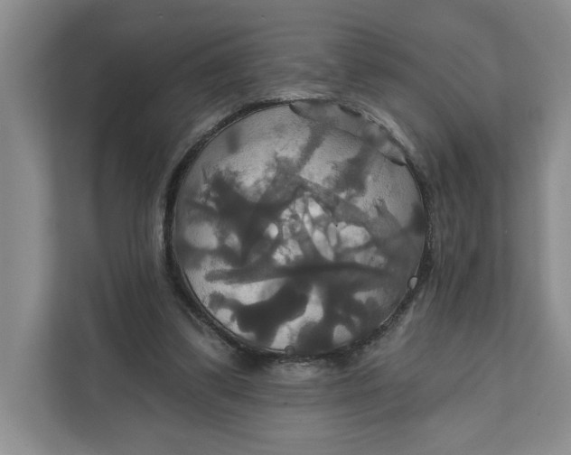 X0000111820299200908061141