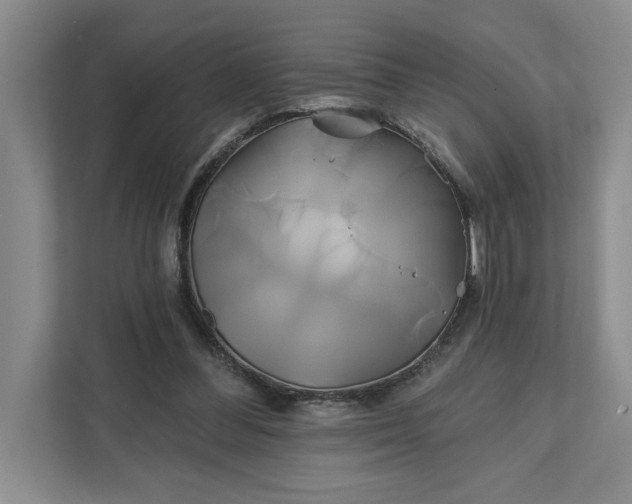 X0000111820300200908061141