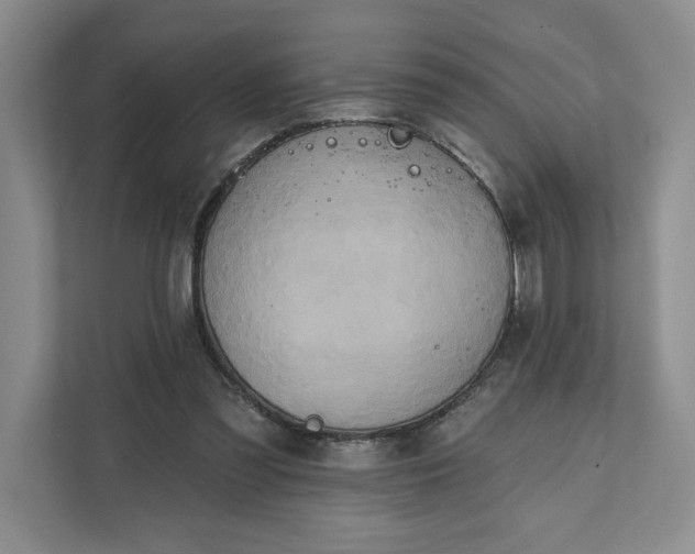 X0000111820301200908061141