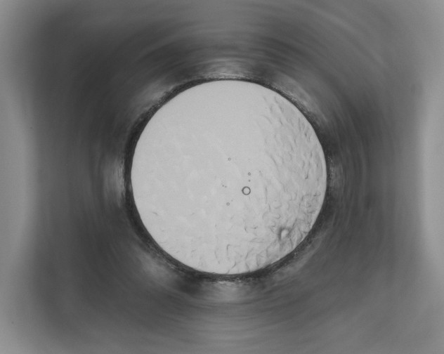 X0000111820302200908061141