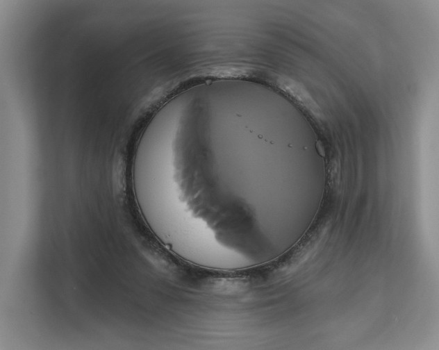 X0000111820303200908061141