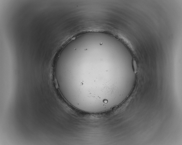 X0000111820305200908061141