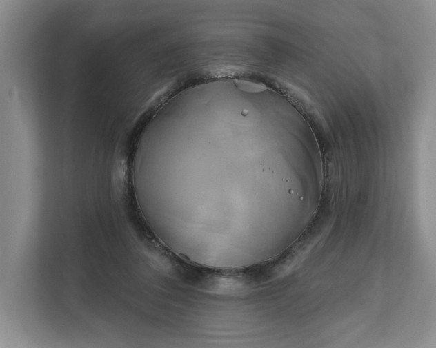 X0000111820308200908061141