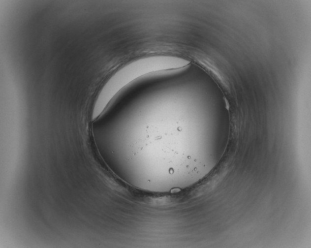 X0000111820309200908061141