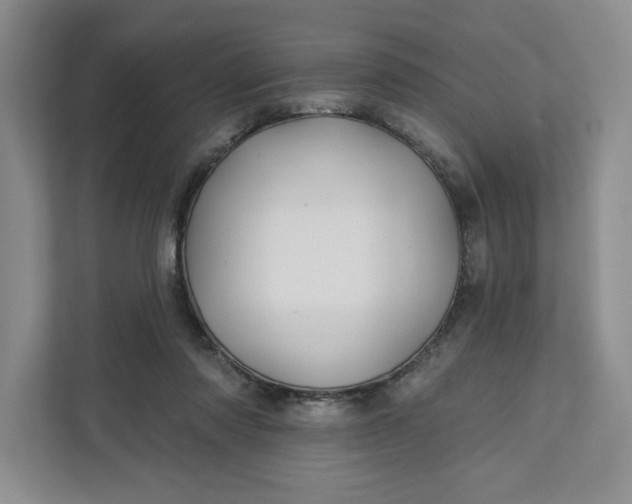 X0000111820310200908061141