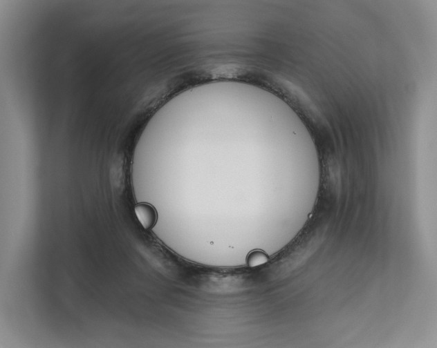 X0000111820311200908061141