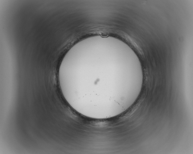 X0000111820313200908061141