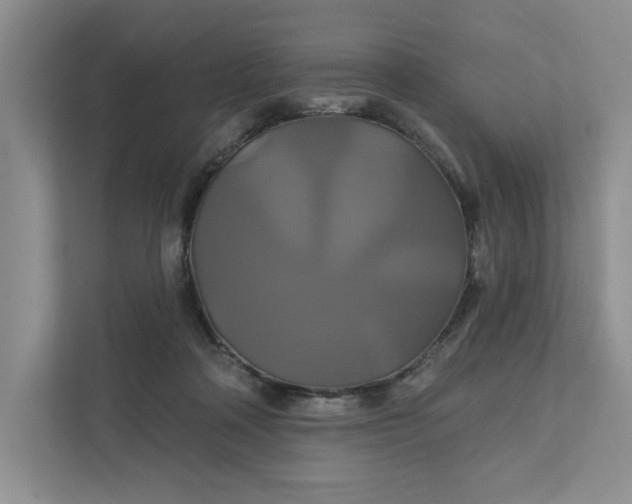 X0000111820314200908061141