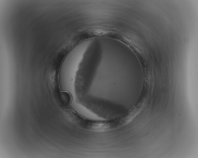 X0000111820319200908061140