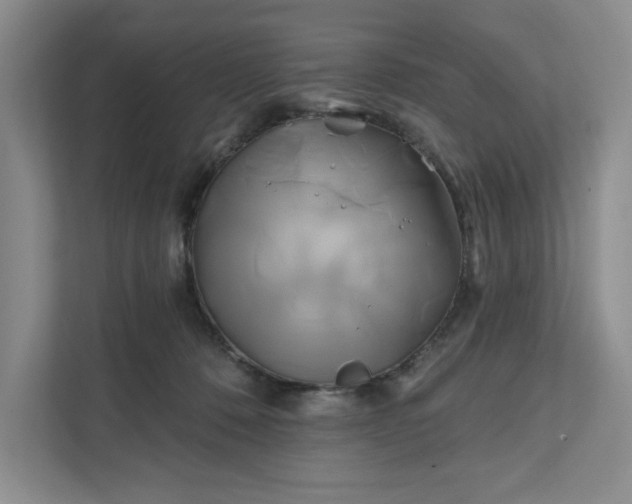 X0000111820320200908061140