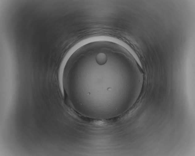 X0000111820325200908061140