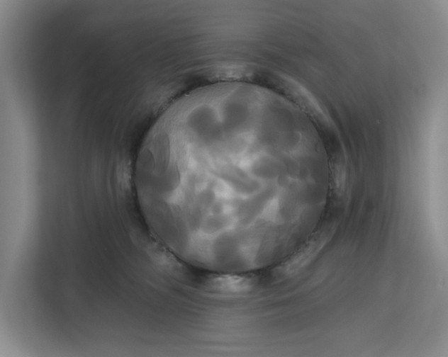 X0000111820326200908061140