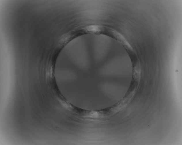 X0000111820330200908061140