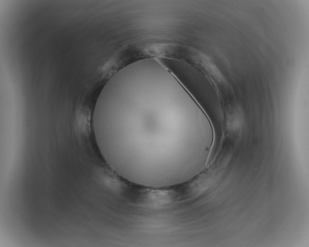 X0000111820332200908061140