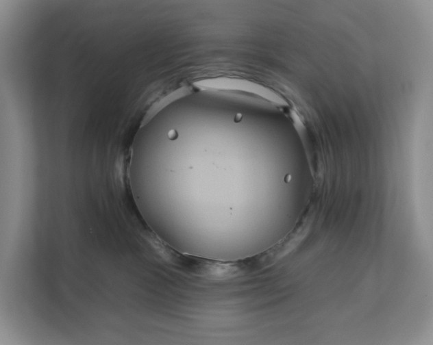 X0000111820333200908061140