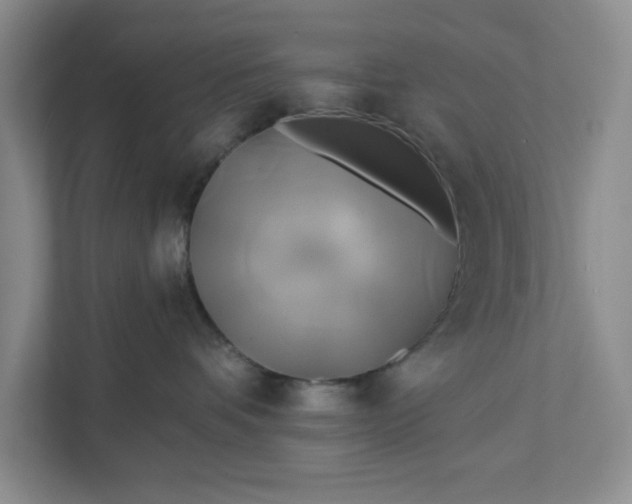 X0000111820336200908061140