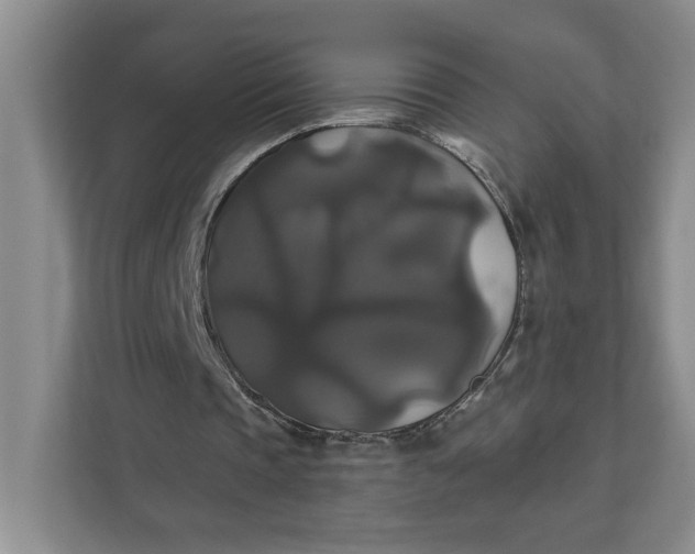 X0000111820337200908061140