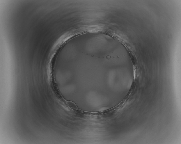 X0000111820339200908061140