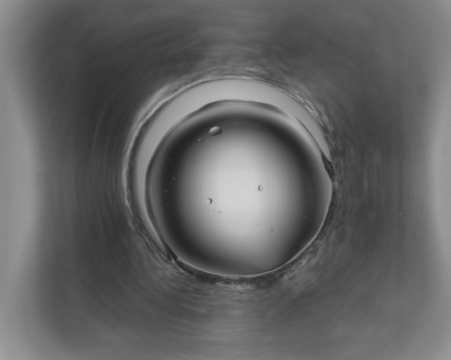 X0000111820340200908061140