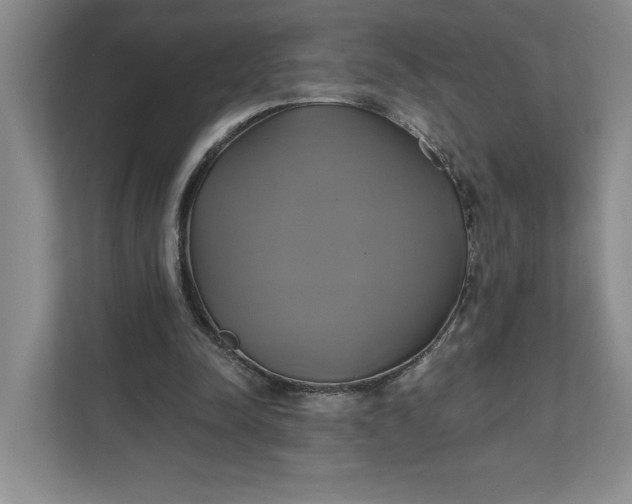 X0000111820342200908061140