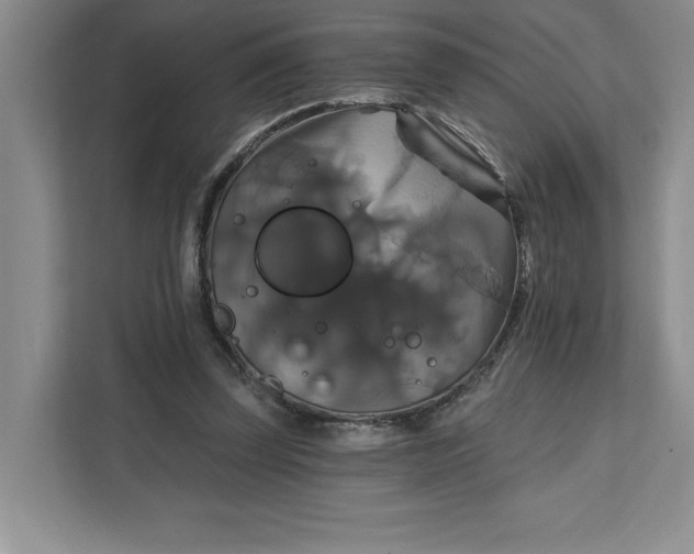 X0000111820347200908061140