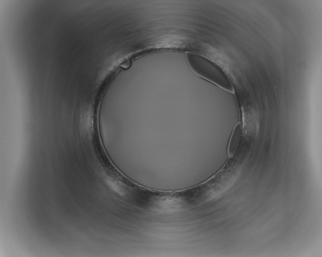 X0000111820348200908061140