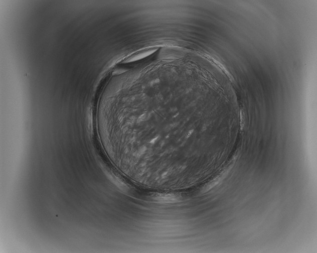 X0000111820349200908061140