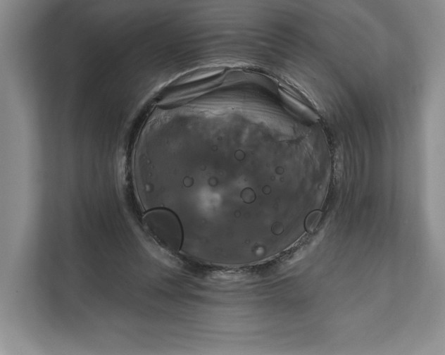 X0000111820351200908061140