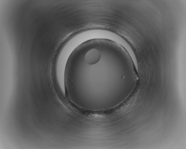 X0000111820352200908061140