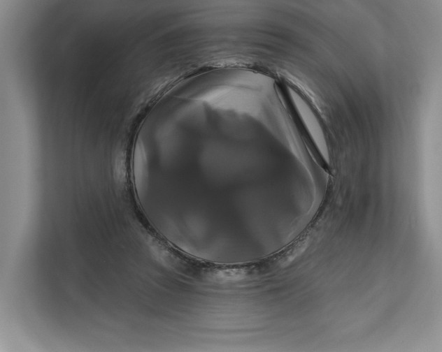 X0000111820353200908061140