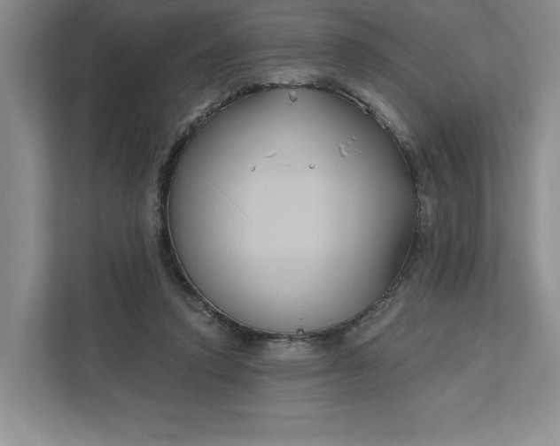 X0000111820354200908061140