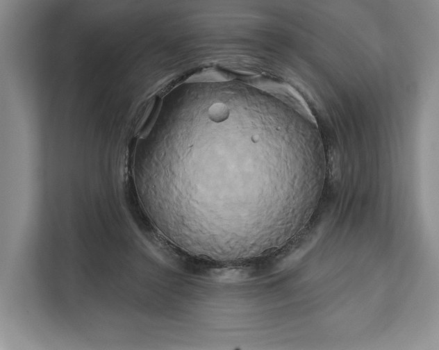 X0000111820356200908061140