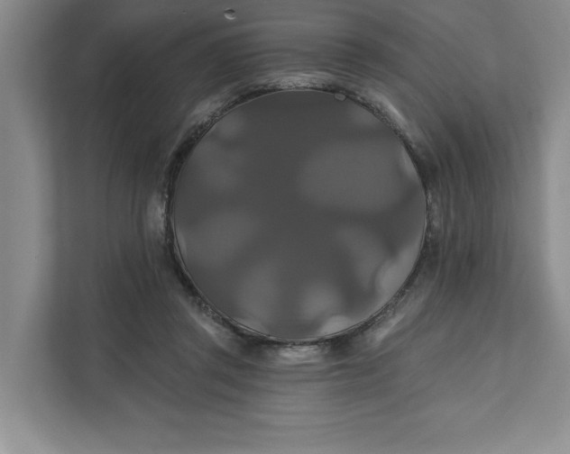 X0000111820357200908061140