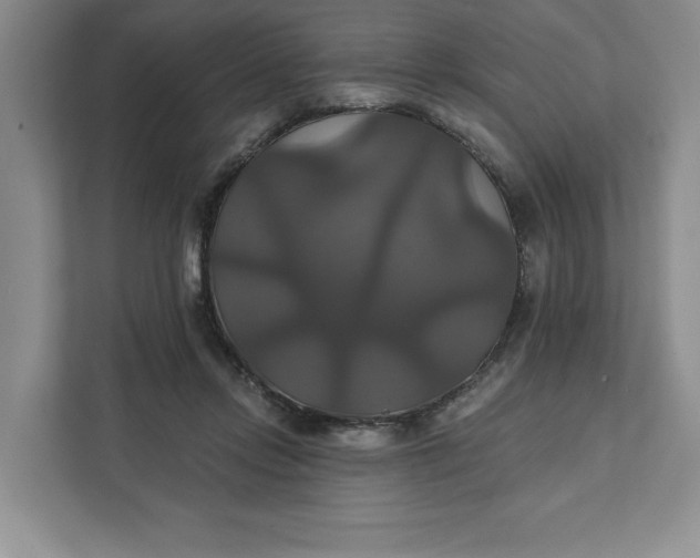 X0000111820358200908061140