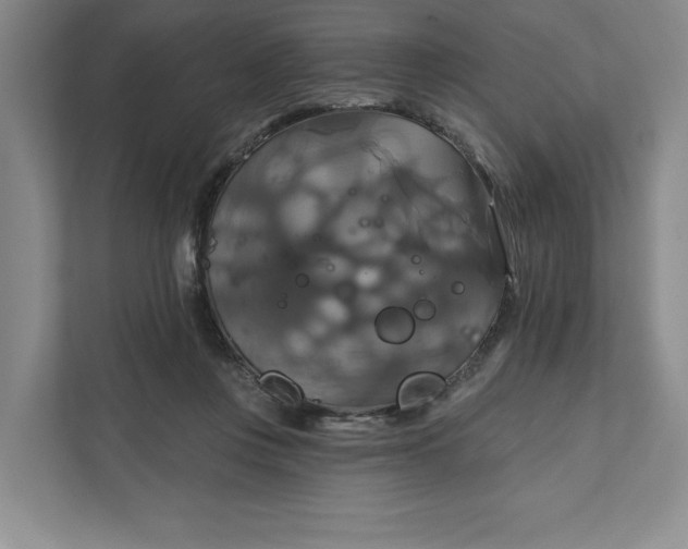 X0000111820359200908061140