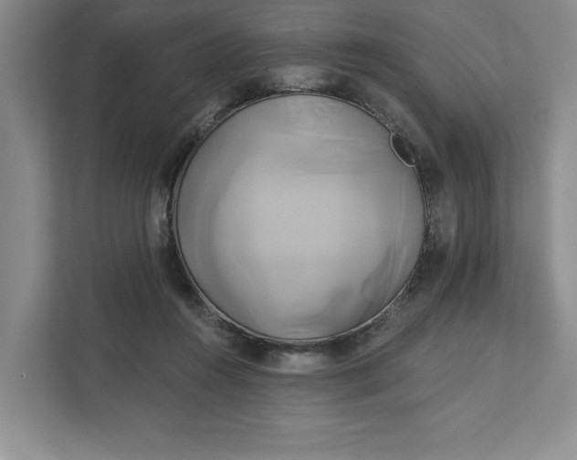 X0000111820360200908061140