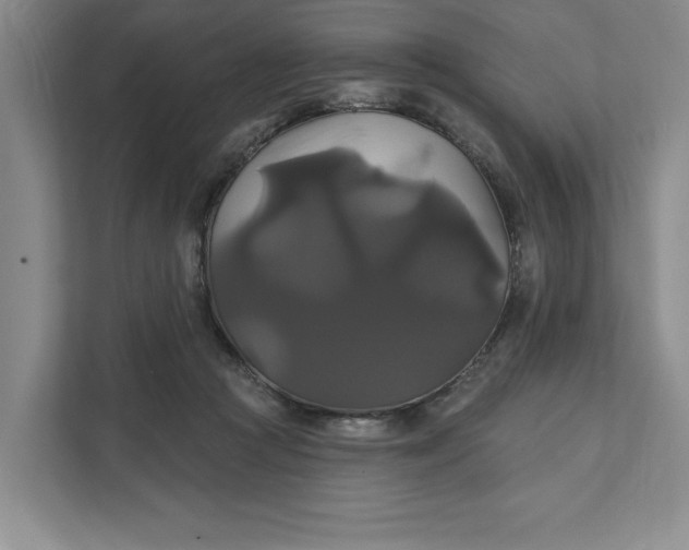 X0000111820361200908061140