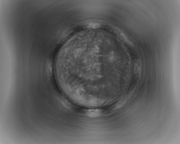 X0000111820363200908061140